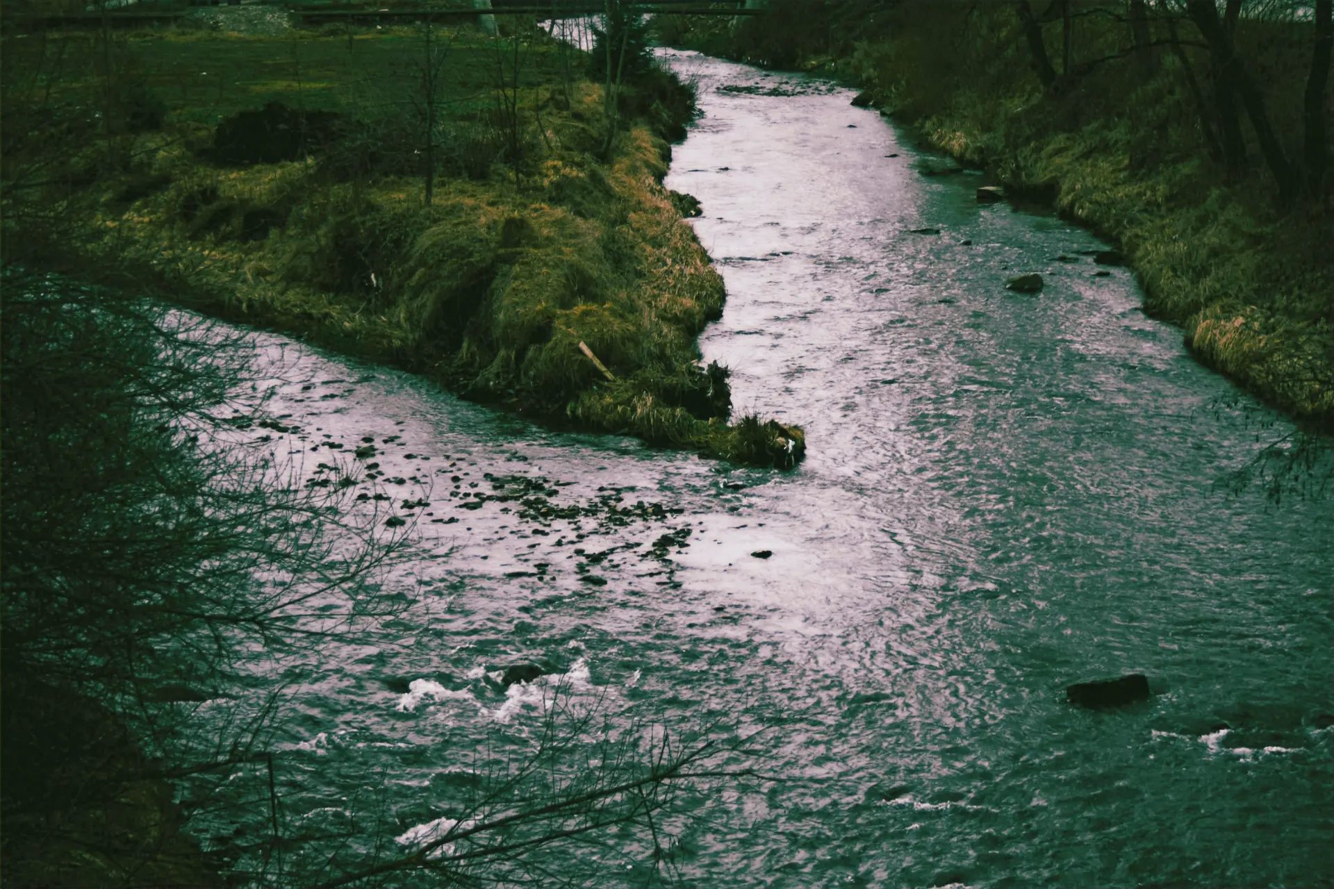 A river running through a lush green forest